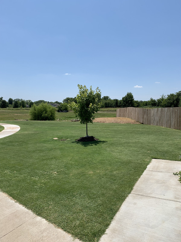 C9EDF7FF-AF55-461F-9FD9-32FF011FDD33