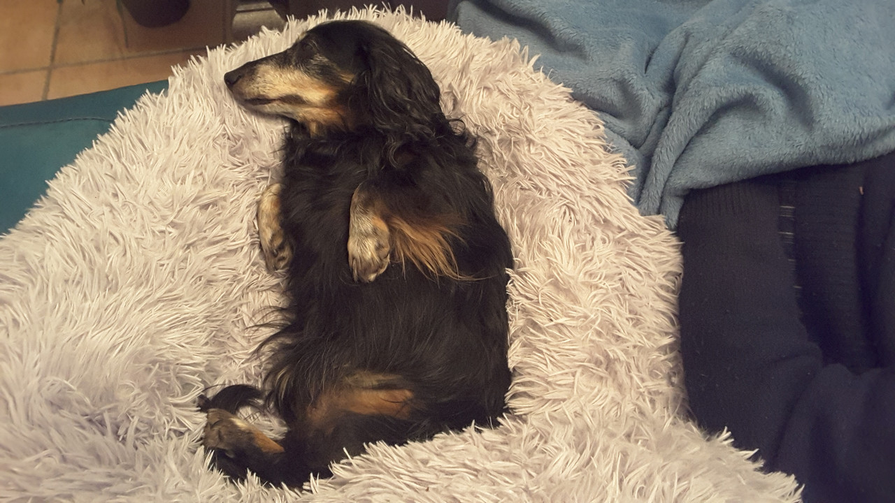 [Image: 20201104-222202.jpg]