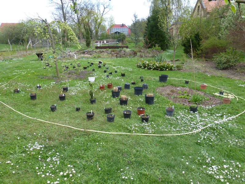 2014-04-13 Gräserbeet1