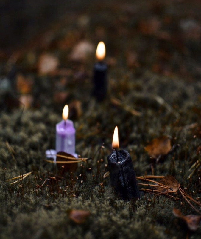 Screenshot_20231113_005312_Pinterest