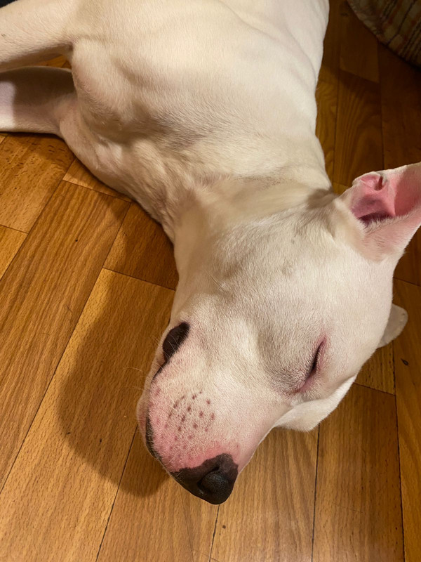 BB33BE1F-D479-4840-ABD1-A797F9BE02DB