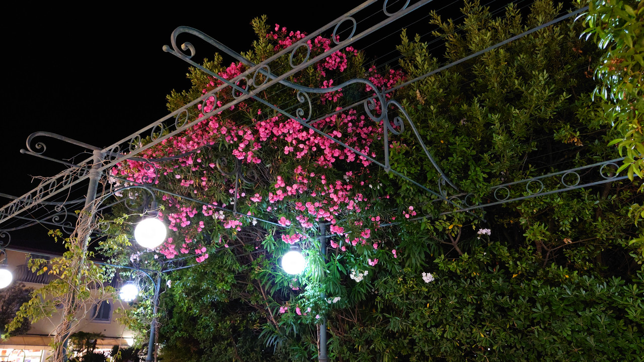 20200709-230415.jpg