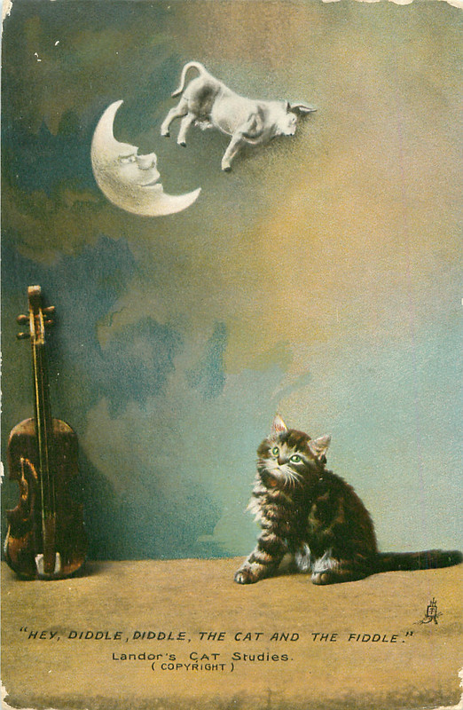 16-2011-06-15-18-02-24