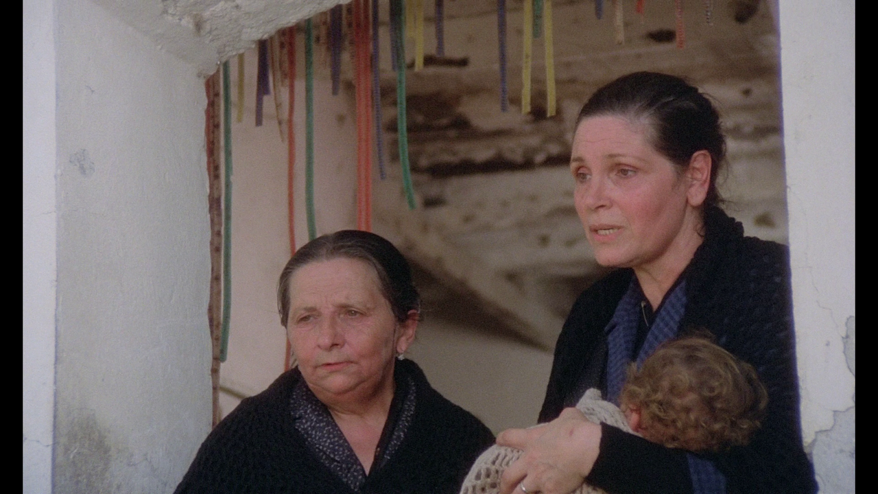 vlcsnap-2023-08-05-15h32m02s474