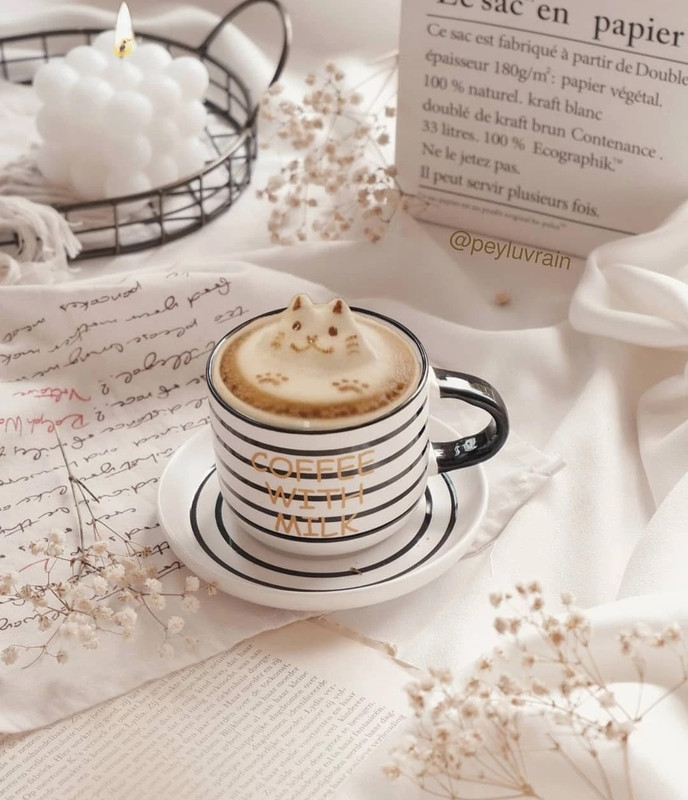 Screenshot_20240112_234930_Instagram