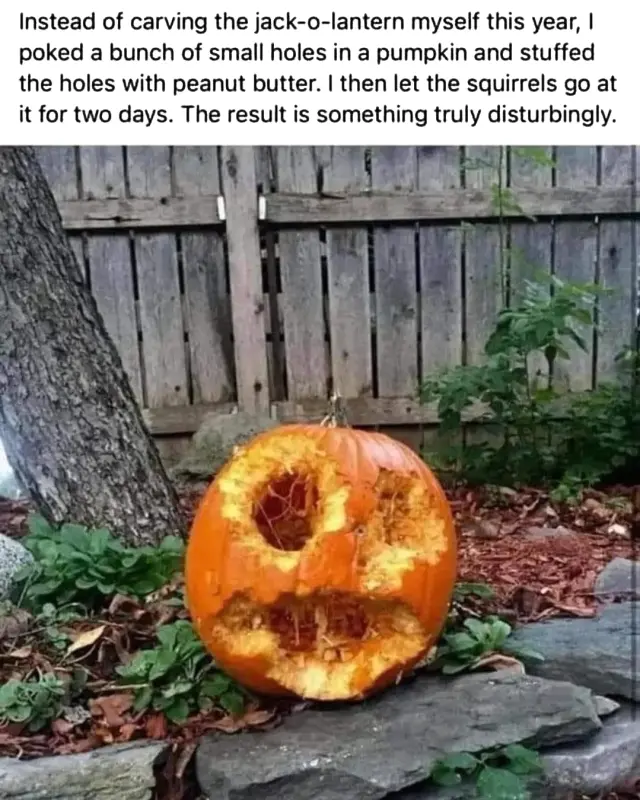 Pumpkins 0005