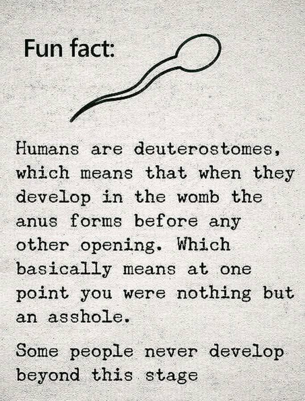 08CB2270-6464-45BA-AE07-706153CA7FC8