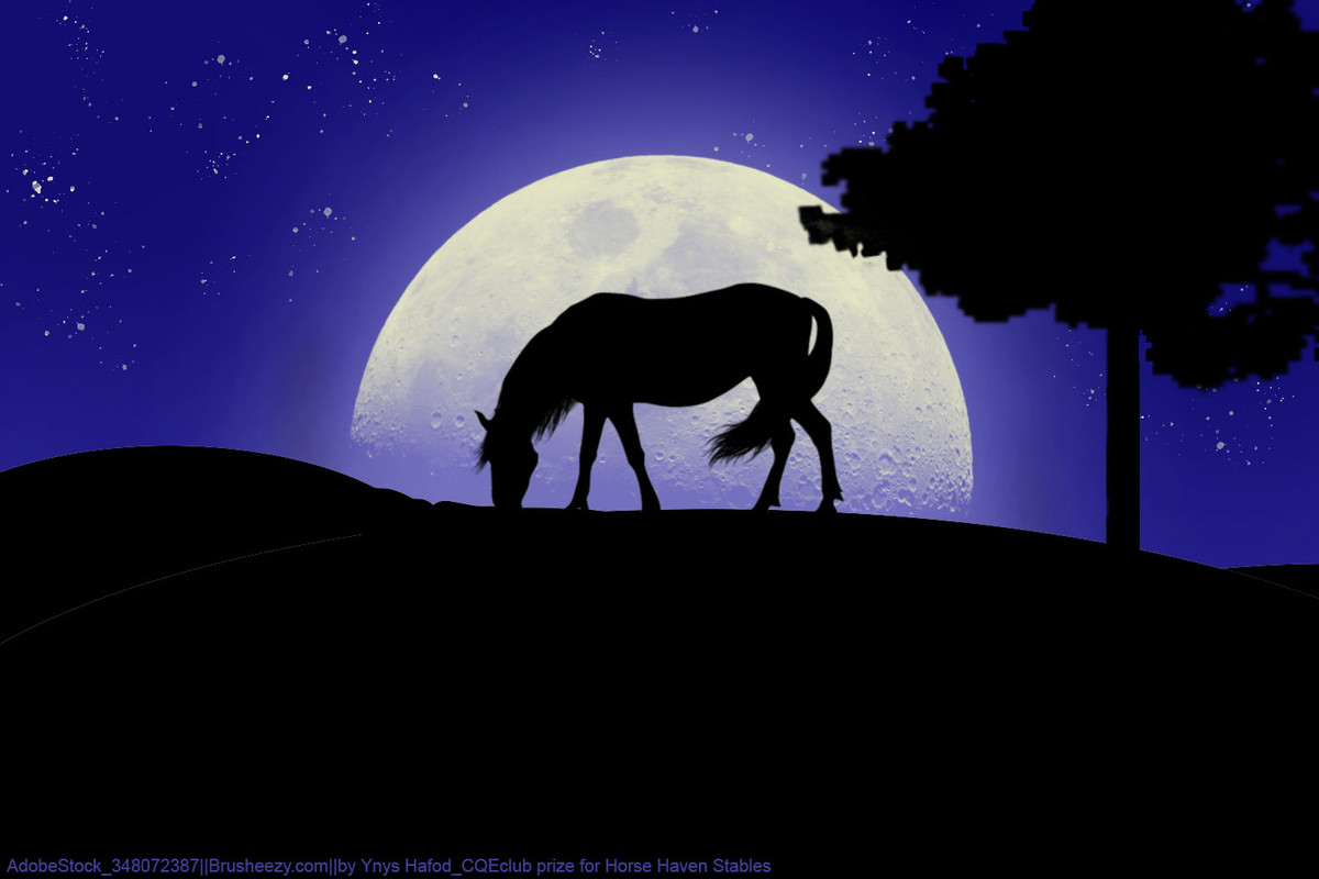 Grazing-Moon-Horse-Haven-Stables.jpg