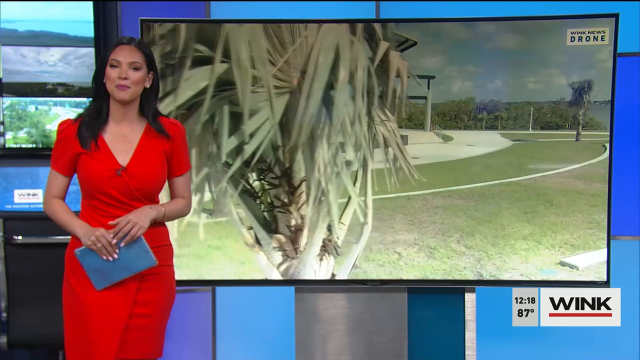 The WINK Noon News 2022_05_25_17_00_00.ts_snapshot_24.42.385