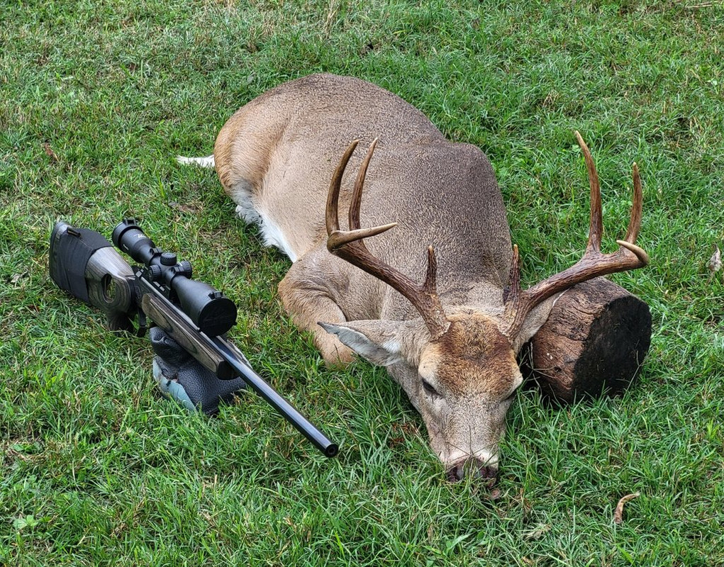 buck-nov2023-65brm-hdy123-eld-m