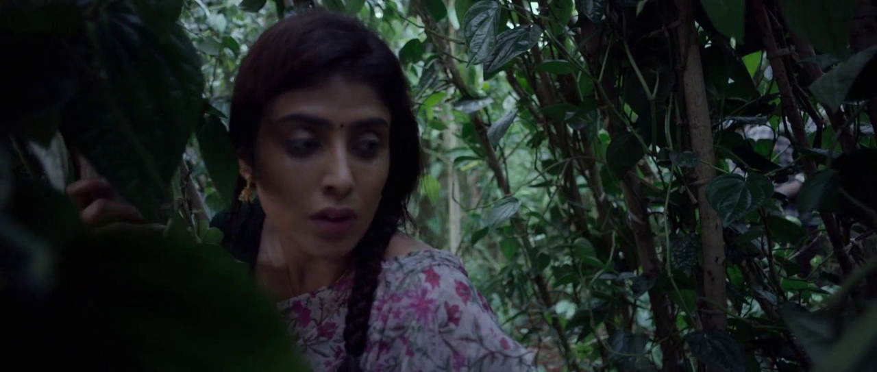 vlcsnap-2025-08-30-19h29m35s902