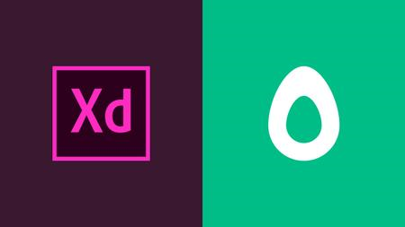 Adobe XD to Code With Avocode 3