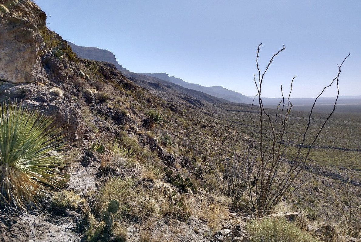 26218552199_8766c4c6b7_o