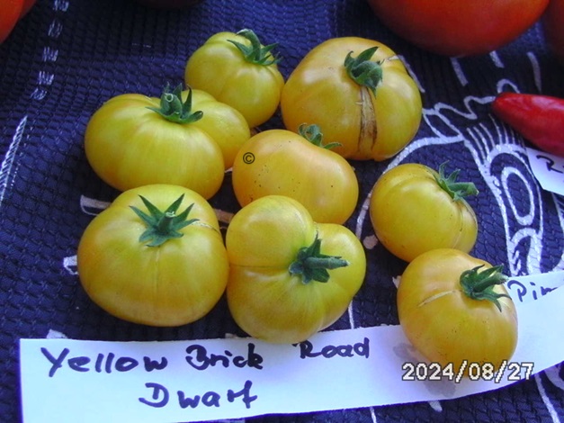 [Bild: BILD0364.jpg]