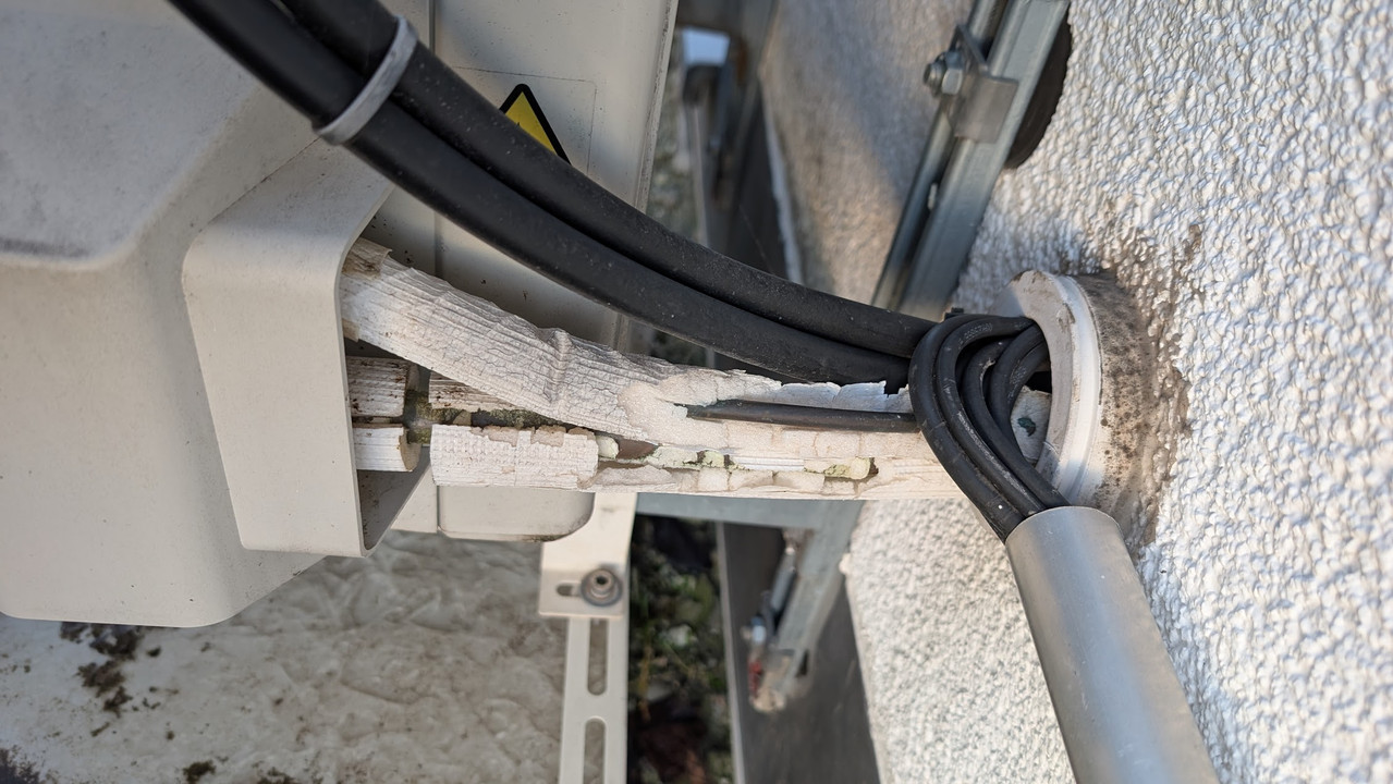 PXL 20251217 072930593 MP