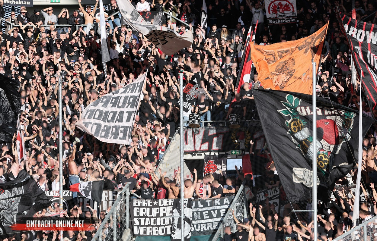 23-24-tsg-hoffenheim-eintracht-frankfurt-0014.jpg-nggid046391-ngg0dyn-1500x961x90-00f0w010c010r110f1