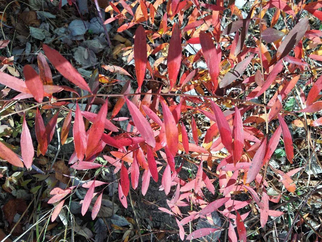 0-02-05-24a5bb18184c4c95aff28840bb95779b00916192db534b79b5f9adf7