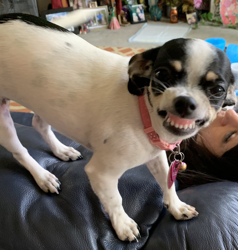 1885166D-A84B-4B75-8238-A5A3B6377348