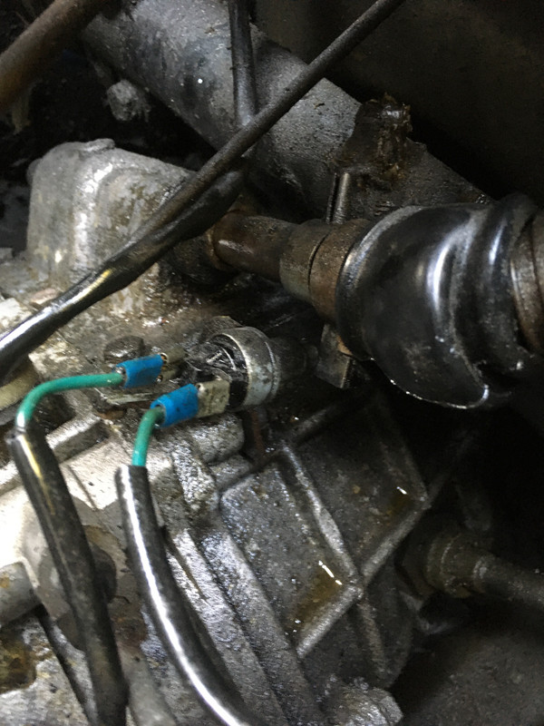 Saab_achteruitrijlichten - 1