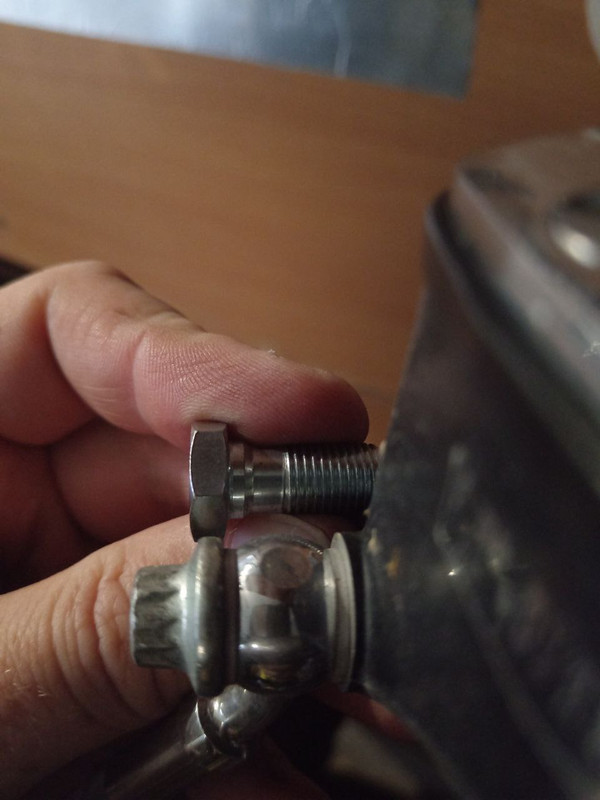 photo_5213268752160907512_y (1)