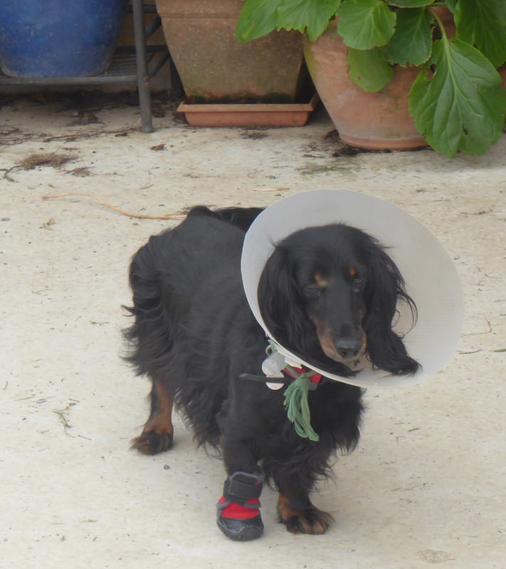 [Image: P1030792.jpg]