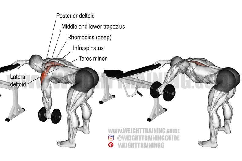One-arm Dumbbell Bent-over Lateral Raise