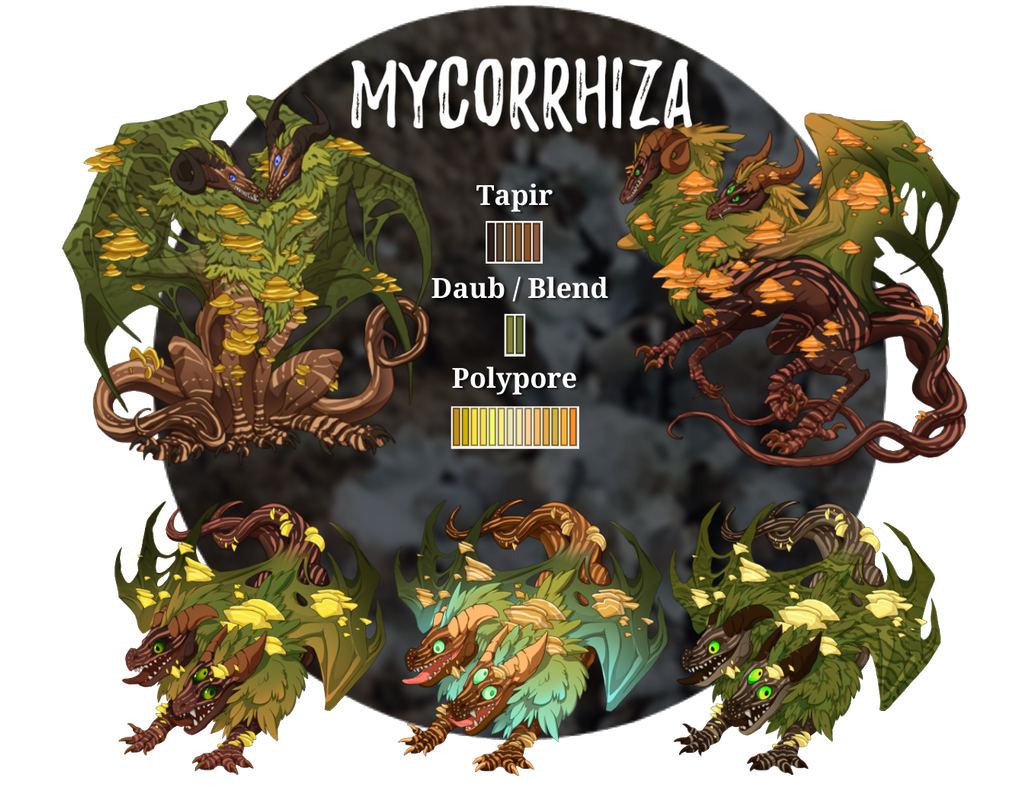 FR-Mycorrhiza-PNG.png