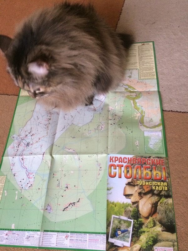 0E79ABE8-F385-46FE-B2E2-AC7D1C69F92B