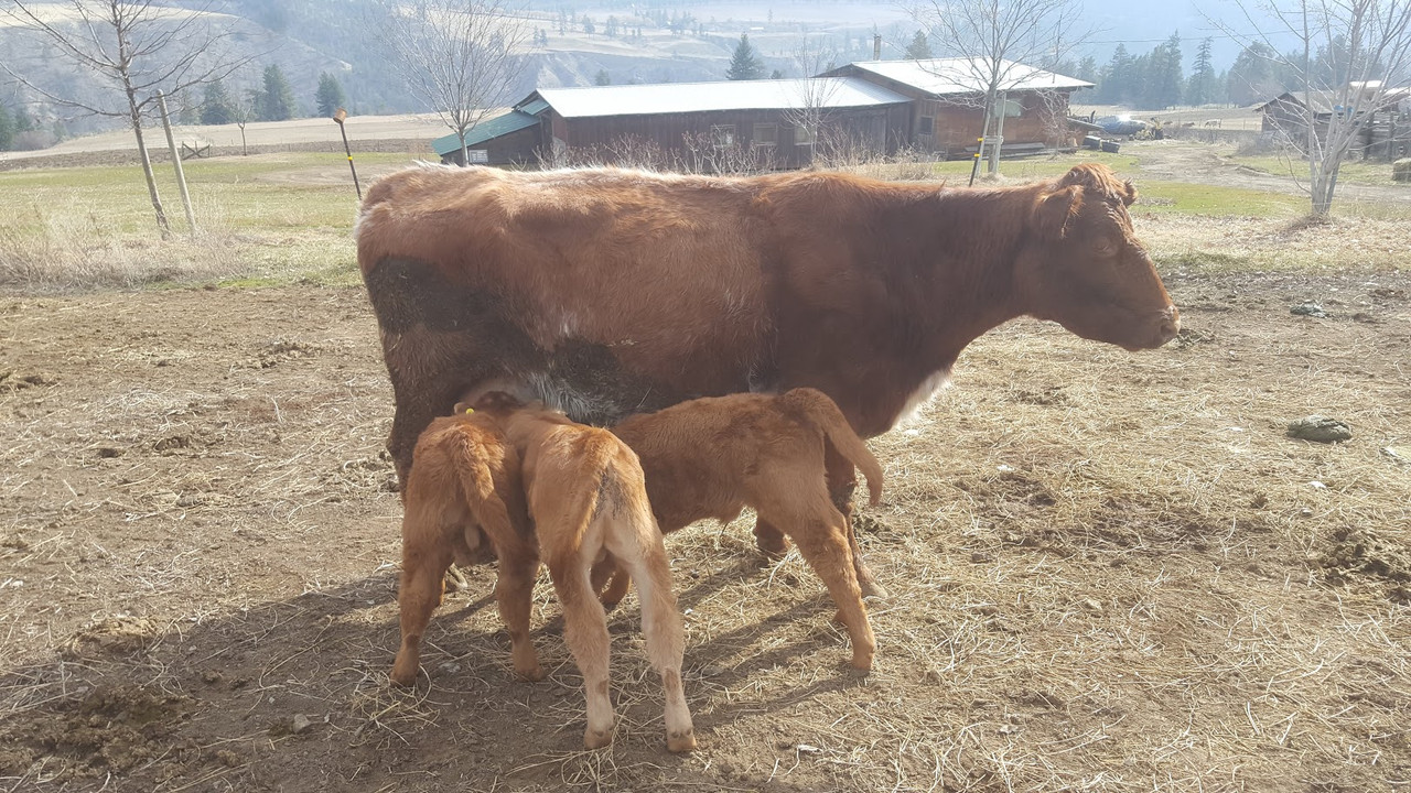 20180321_105602