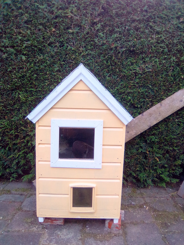 кошачий домик (2)