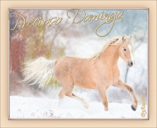 El Príncipe de la Nieve Domingo