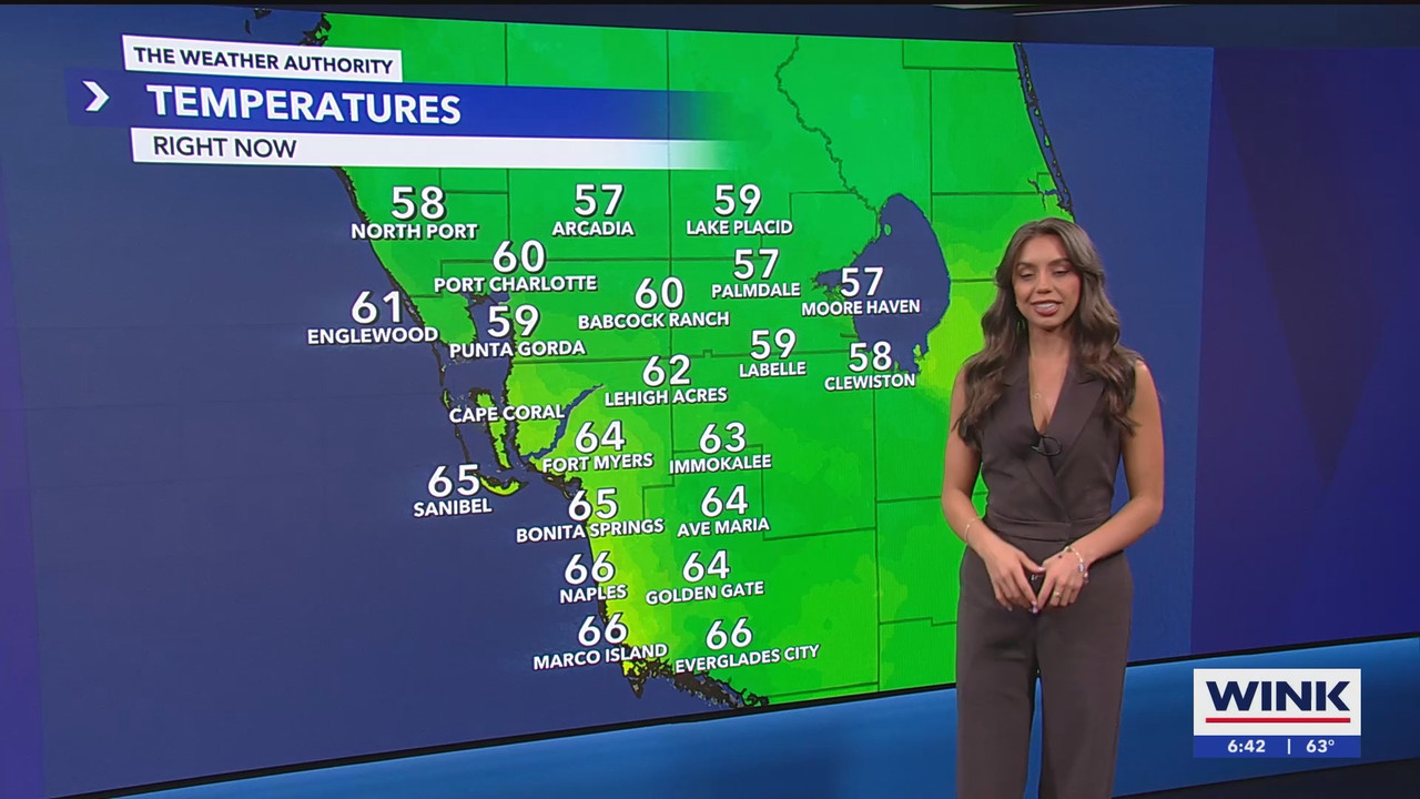 WINK News at 630am_20250306_11301200.ts_snapshot_14.00.836