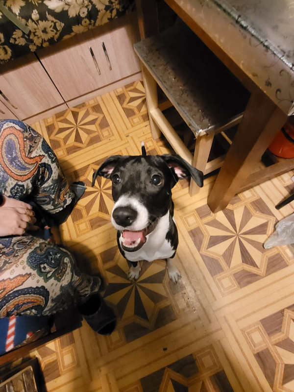 B6D7F05E-E042-4FD5-BD1A-951FBB4E0603