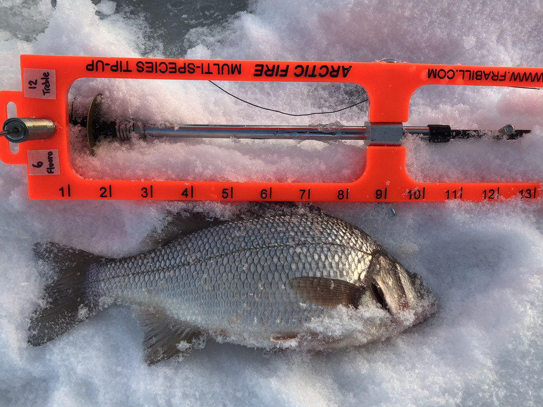 277F8E43-5CBC-4E91-8F61-9FC04FF35BCE