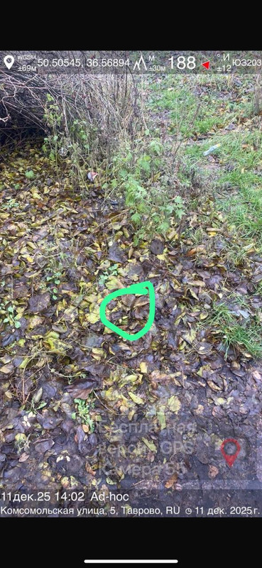 photo 2025 12 11 11 11 15
