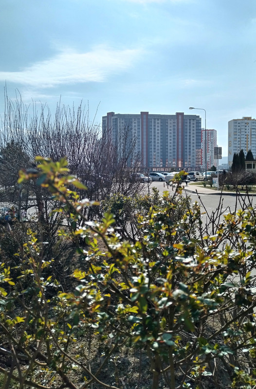 IMG_20240311_110438_edit_165371529723268