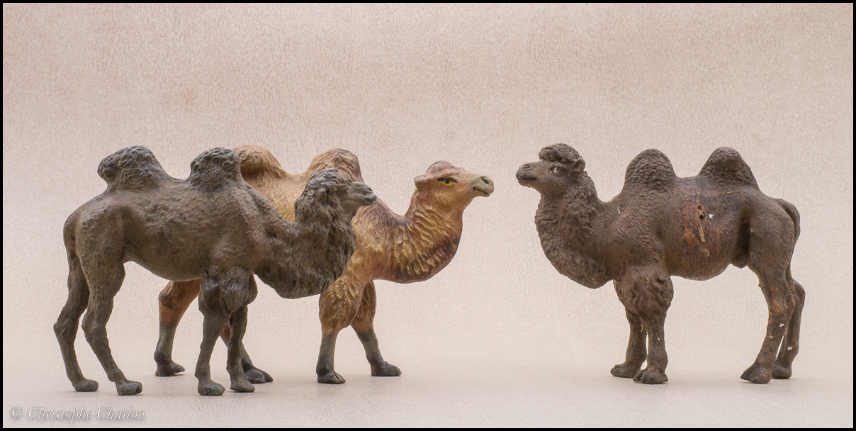 Bactrian camels and dromedaries by Lineol and Elastolin Composition-camels-2