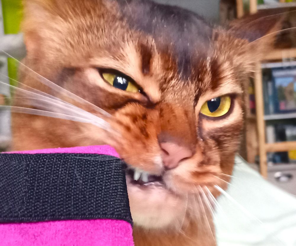 Svante Gesicht Markiert