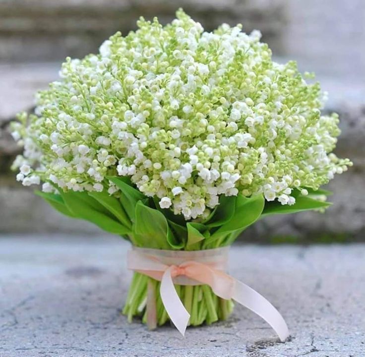 [Image: d5d798ae-08ab-4b73-9eb7-0d92d6a8d149.jpg]