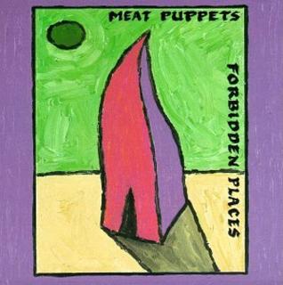 Meat Puppets - Forbidden Places (1991).mp3 - 320 Kbps