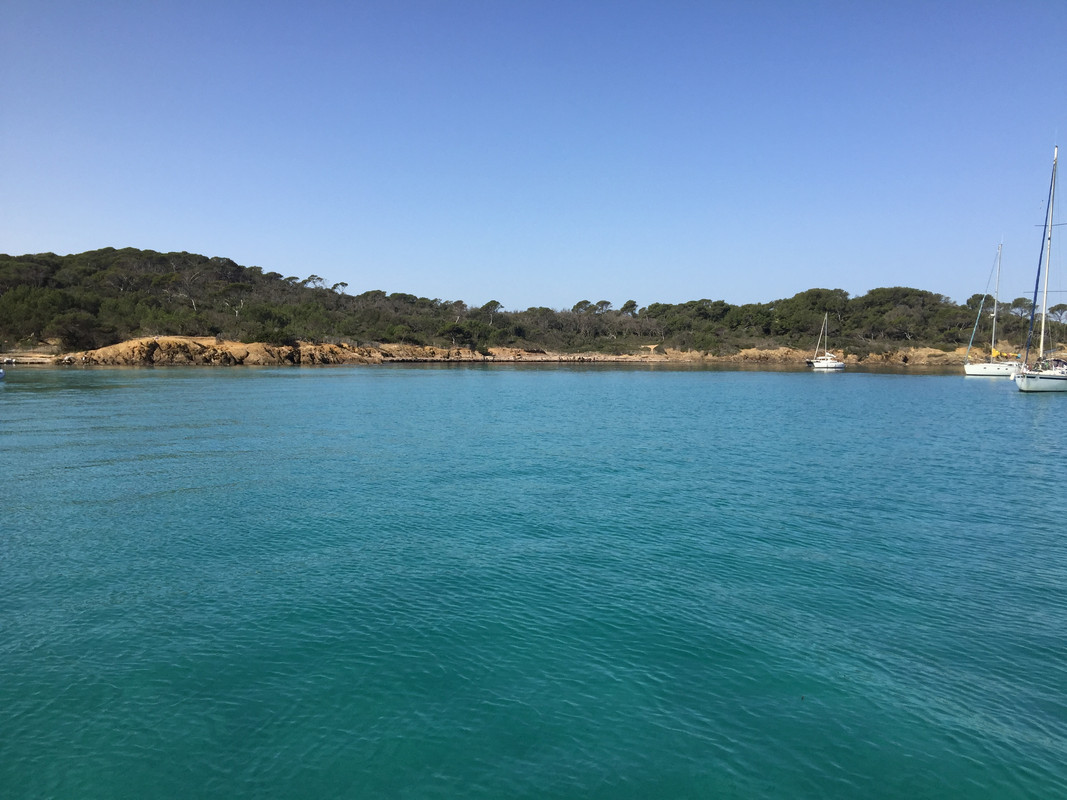 4DA24B9D-218F-43E1-BF35-2BED9881131C