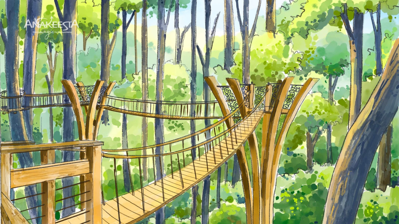 Enhanced Treetop Skywalk (Spring 2026)