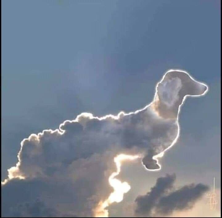 [Image: a3a5eb53229d08360881f15546ed9836.jpg]