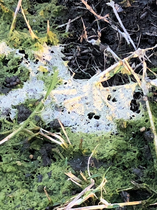 3DDA988C-4435-47AC-B03A-A51CF4C73F3A