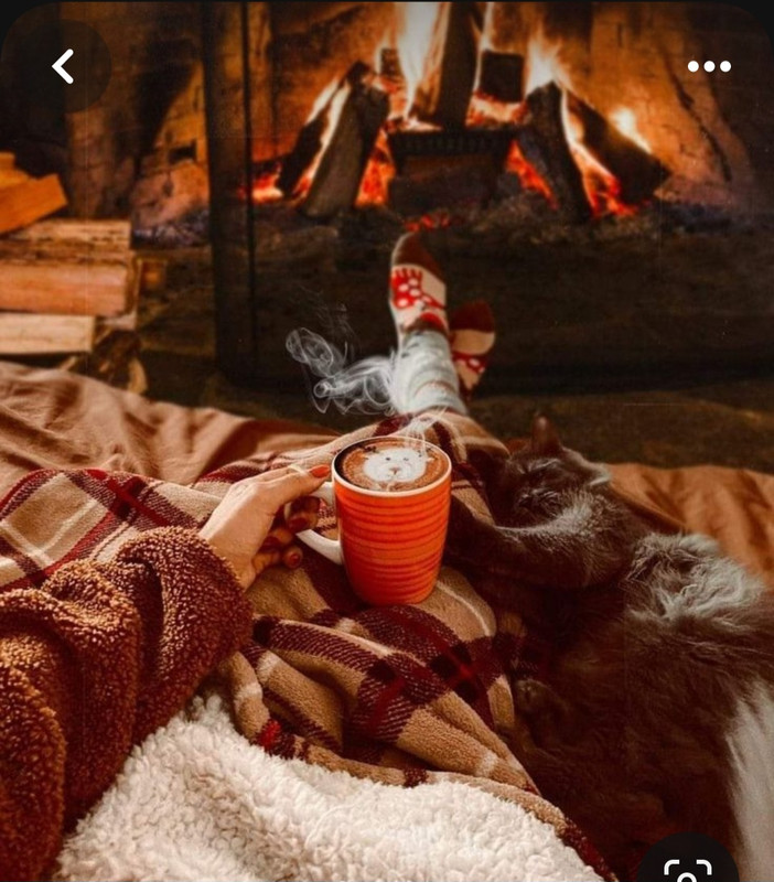 Screenshot_20231117_203445_Pinterest