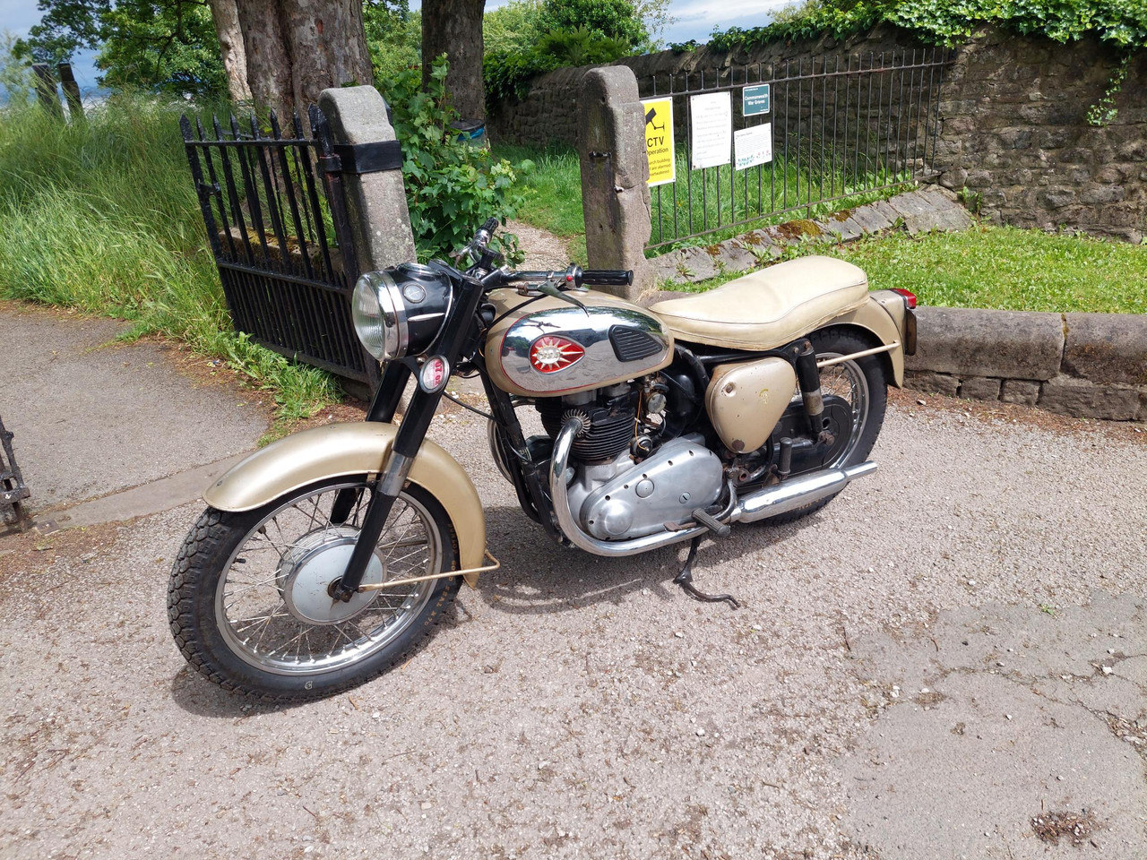 This didn't 'follow me home'. I bought it home.