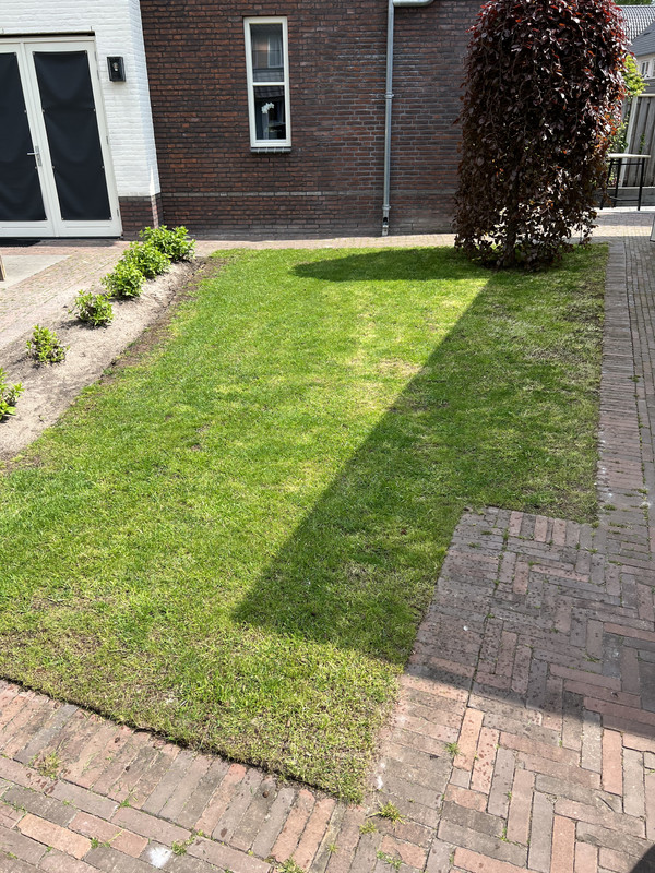 87B1D1A0-1D7B-462E-843C-26F4ED56E28C