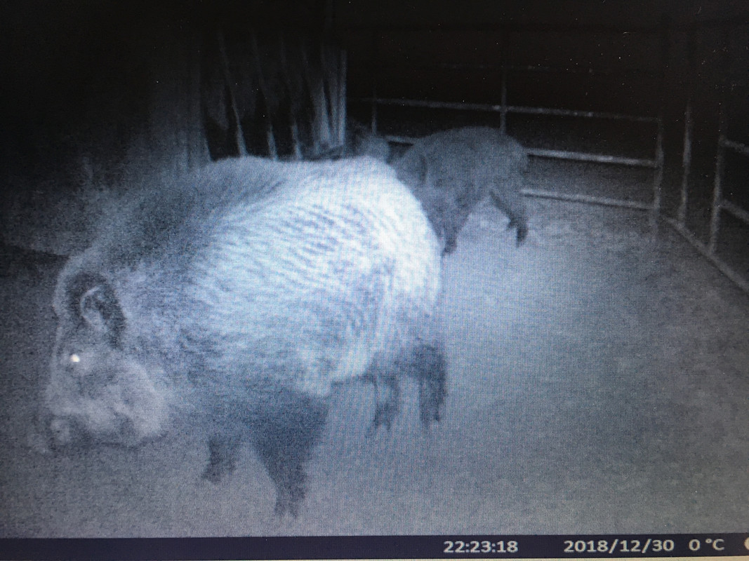 1F3CD11C-E656-4927-8997-0EF5A3373691