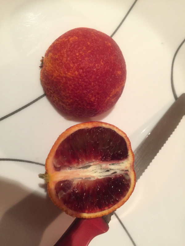 D61CFE71-999E-4243-85EB-45122DA03B19