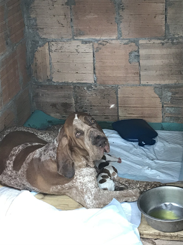 E0E61701-9E2C-41A9-96D4-9FCBA41FD016